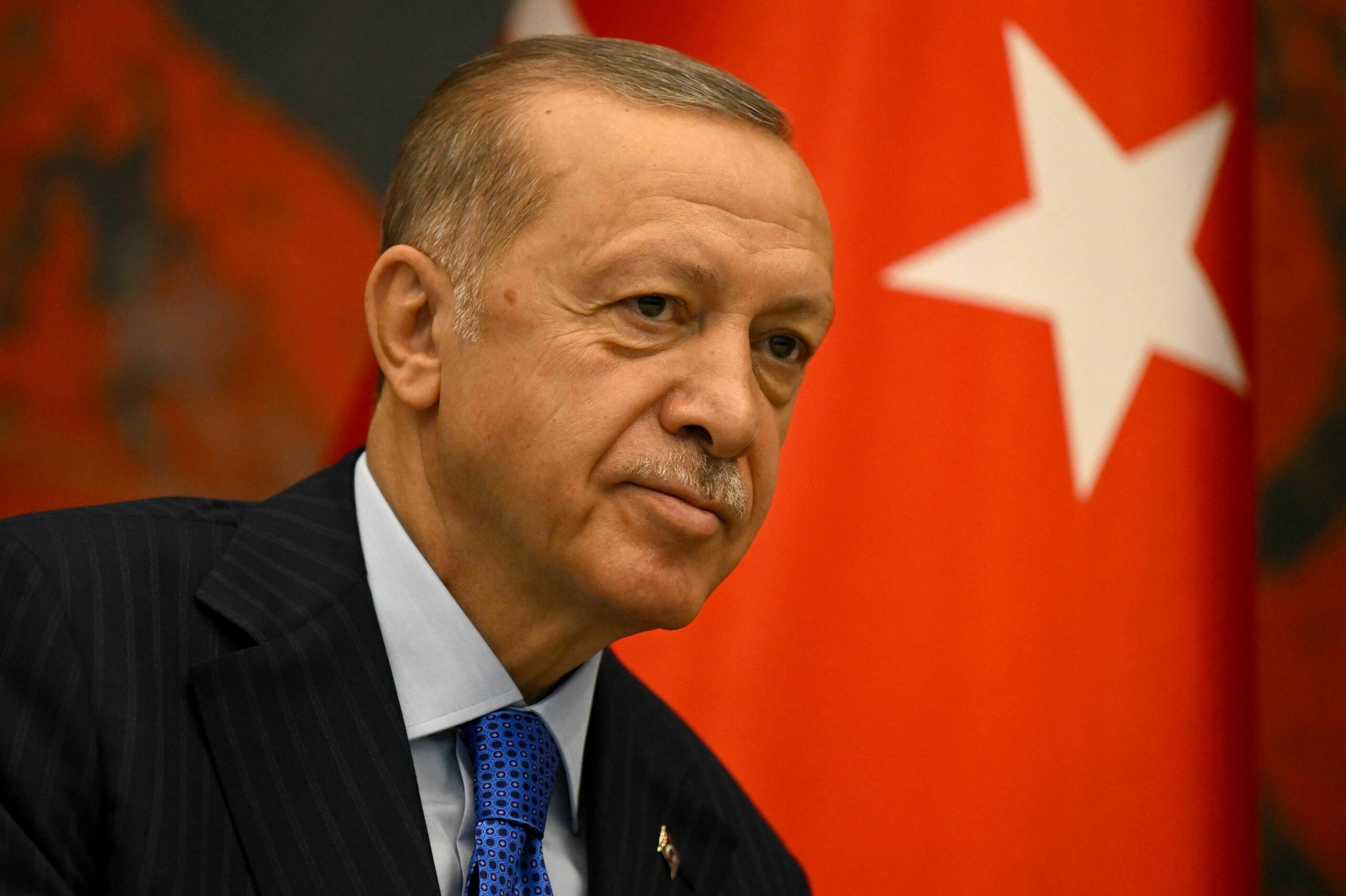 Recep Tayyip Erdoğan, Turkey's Leader